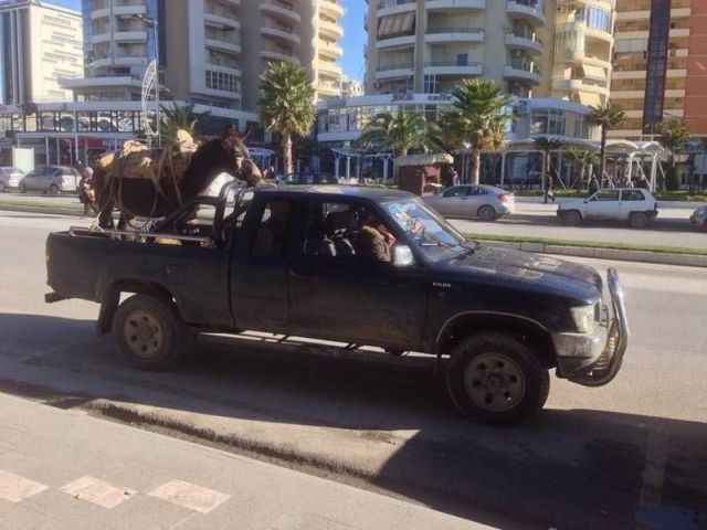 Bildschirmarbeiter - Picdump 02.01.2015