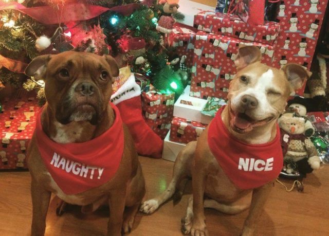 Bildschirmarbeiter - Picdump 02.01.2015