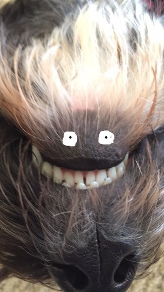 Bildschirmarbeiter - Picdump 09.01.2015