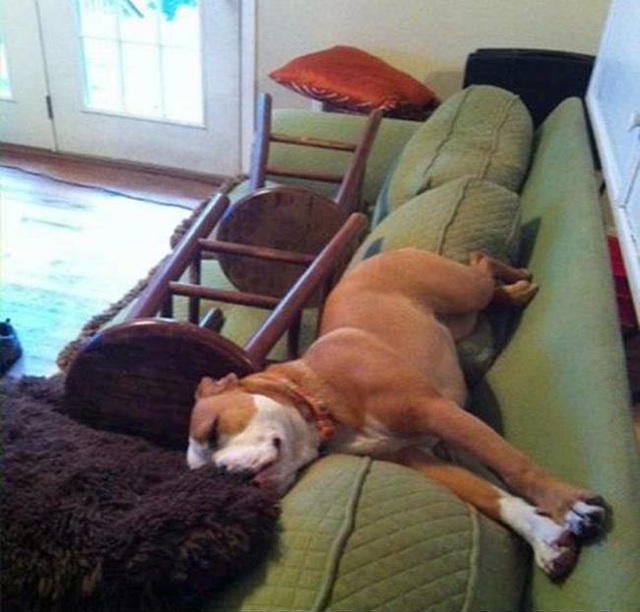 Bildschirmarbeiter - Picdump 09.01.2015