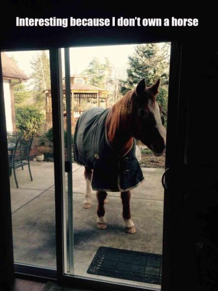 Bildschirmarbeiter - Picdump 09.01.2015