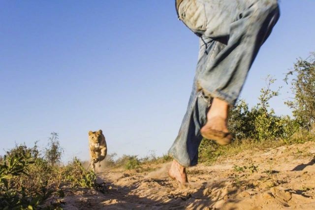 Bildschirmarbeiter - Picdump 09.01.2015