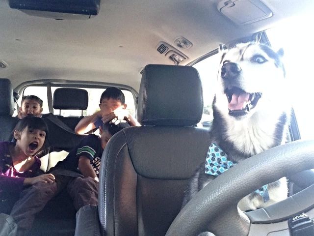 Bildschirmarbeiter - Picdump 09.01.2015