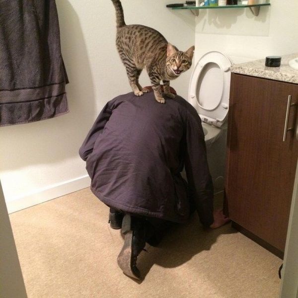 Bildschirmarbeiter - Picdump 09.01.2015