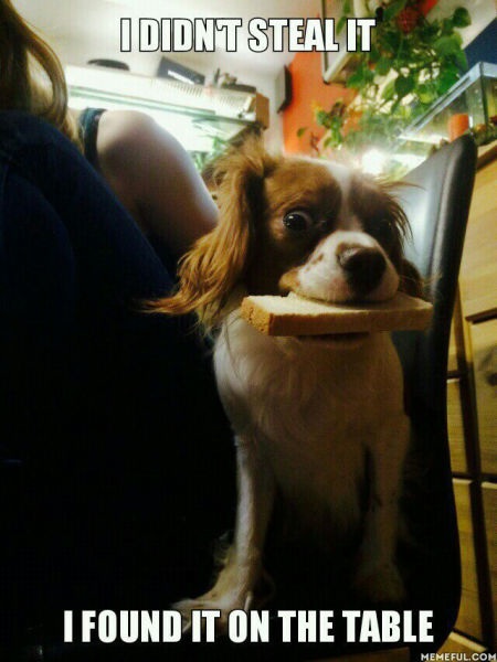 Bildschirmarbeiter - Picdump 09.01.2015