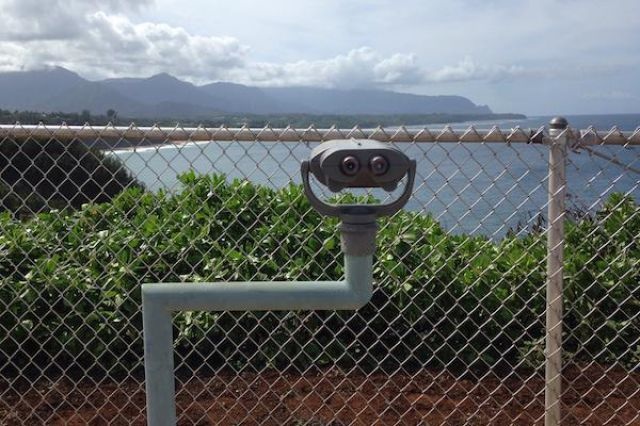 Bildschirmarbeiter - Picdump 09.01.2015