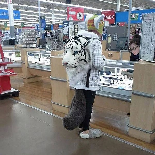 Bildschirmarbeiter - Picdump 09.01.2015