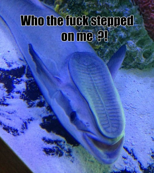 Bildschirmarbeiter - Picdump 09.01.2015