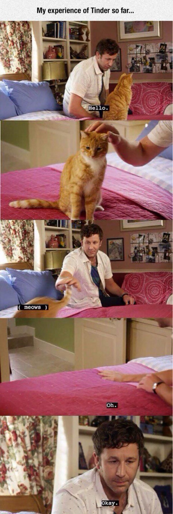 Bildschirmarbeiter - Picdump 09.01.2015