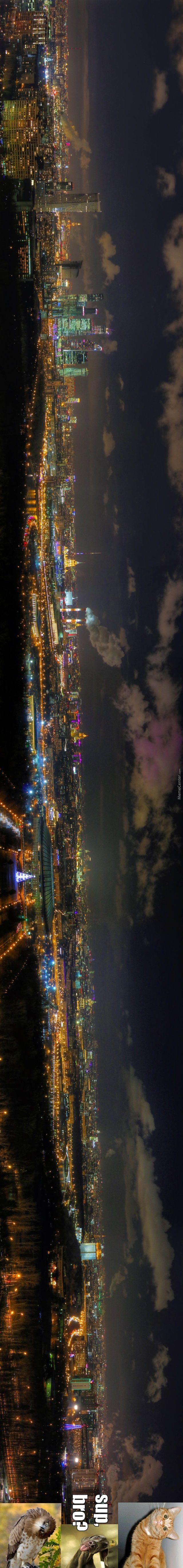 Bildschirmarbeiter - Picdump 09.01.2015