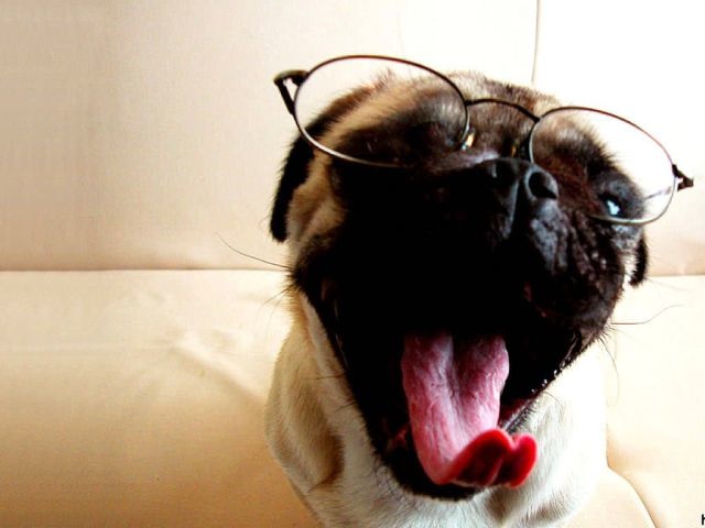 Bildschirmarbeiter - Picdump 30.01.2015