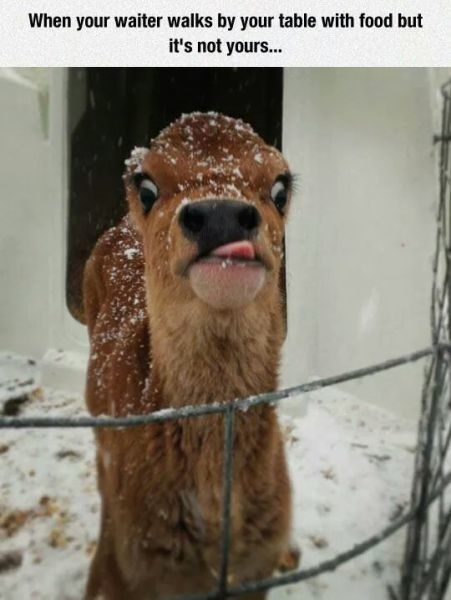 Bildschirmarbeiter - Picdump 30.01.2015