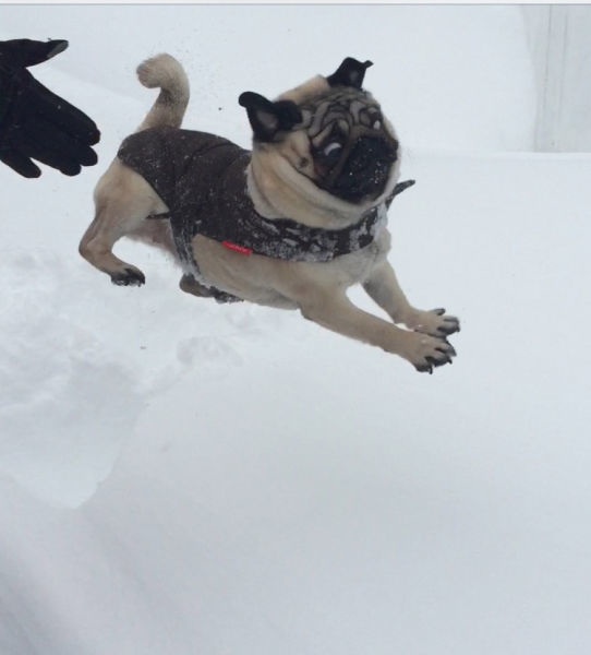 Bildschirmarbeiter - Picdump 30.01.2015