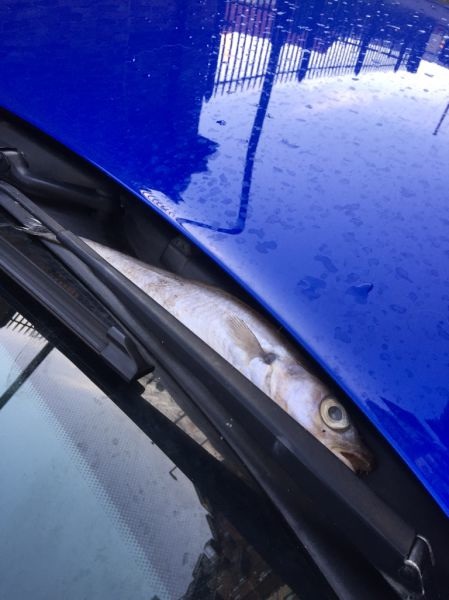 Bildschirmarbeiter - Picdump 30.01.2015