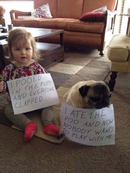 Bildschirmarbeiter - Picdump 30.01.2015