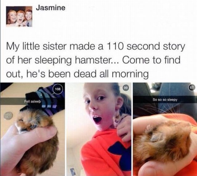 Bildschirmarbeiter - Picdump 30.01.2015