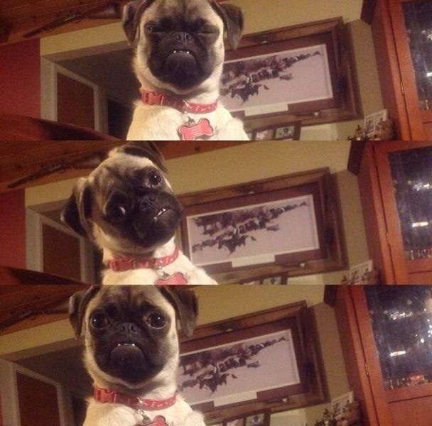 Bildschirmarbeiter - Picdump 30.01.2015