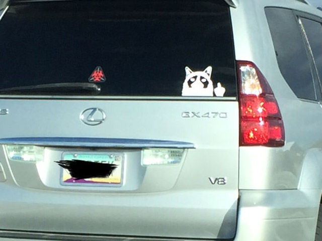 Bildschirmarbeiter - Picdump 30.01.2015