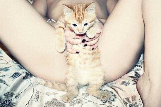 Bildschirmarbeiter - Picdump 30.01.2015