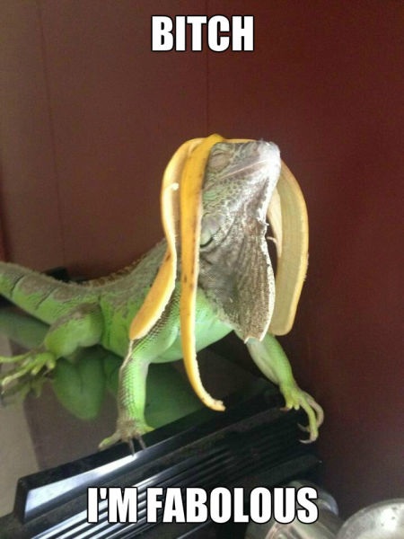 Bildschirmarbeiter - Picdump 30.01.2015