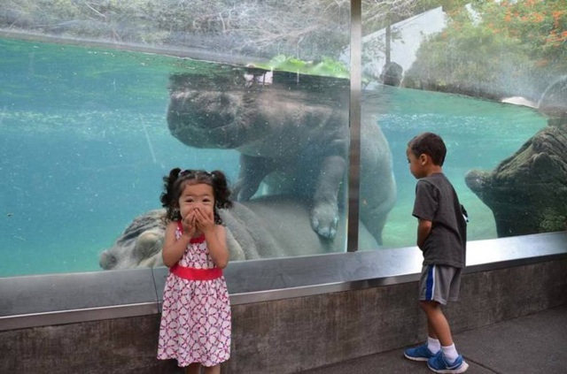 Bildschirmarbeiter - Picdump 30.01.2015