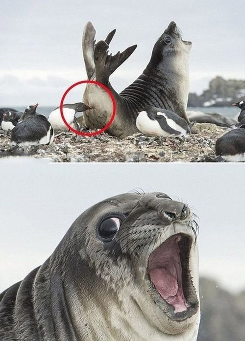 Bildschirmarbeiter - Picdump 30.01.2015