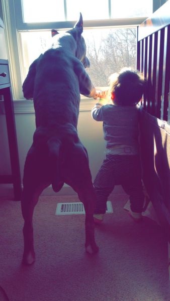 Bildschirmarbeiter - Picdump 06.02.2015