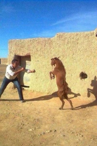 Bildschirmarbeiter - Picdump 06.02.2015