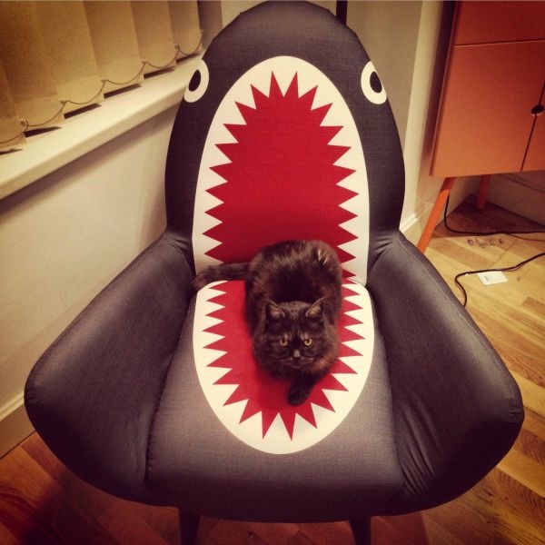 Bildschirmarbeiter - Picdump 06.02.2015