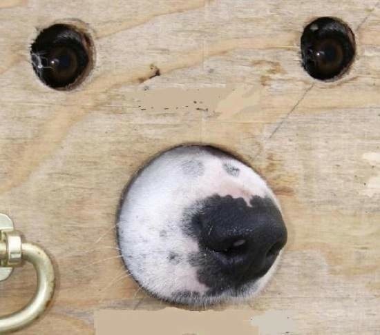 Bildschirmarbeiter - Picdump 06.02.2015