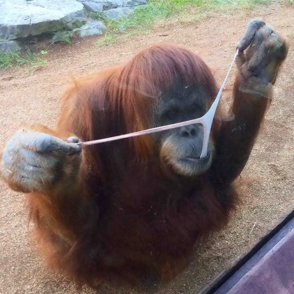 Bildschirmarbeiter - Picdump 06.02.2015