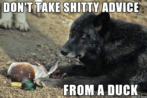 Bildschirmarbeiter - Picdump 06.02.2015