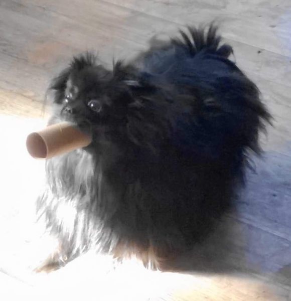 Bildschirmarbeiter - Picdump 13.02.2015