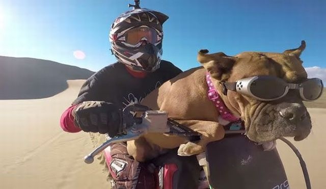 Bildschirmarbeiter - Picdump 13.02.2015