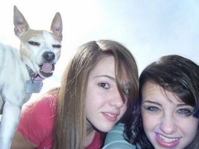 Bildschirmarbeiter - Picdump 13.02.2015