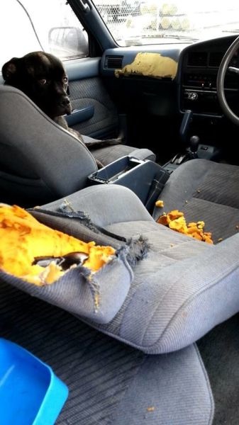 Bildschirmarbeiter - Picdump 13.02.2015