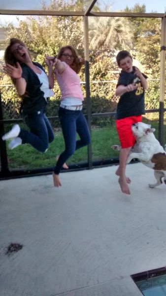 Bildschirmarbeiter - Picdump 13.02.2015