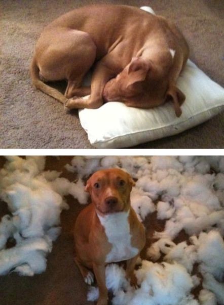 Bildschirmarbeiter - Picdump 13.02.2015