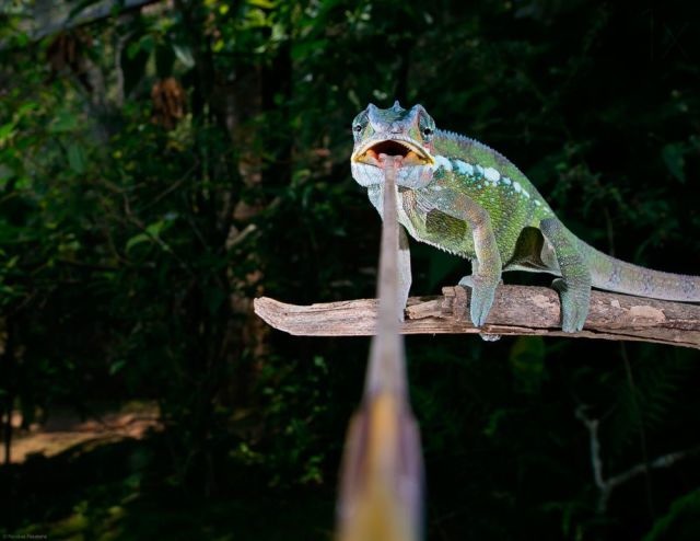 Bildschirmarbeiter - Picdump 13.02.2015