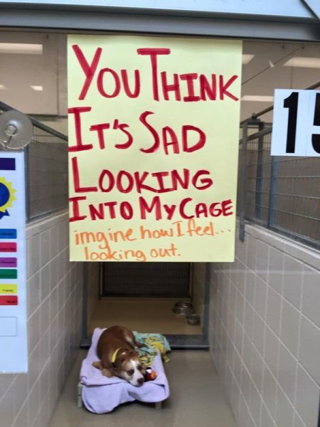 Bildschirmarbeiter - Picdump 13.02.2015