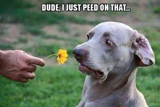 Bildschirmarbeiter - Picdump 13.02.2015