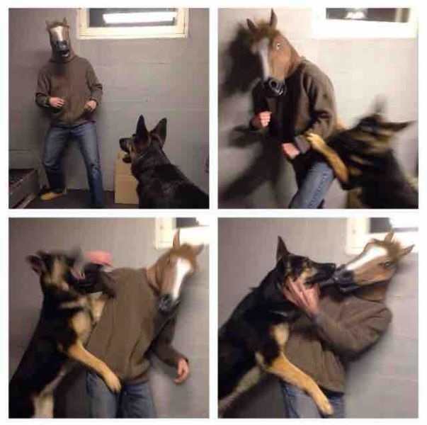 Bildschirmarbeiter - Picdump 13.02.2015