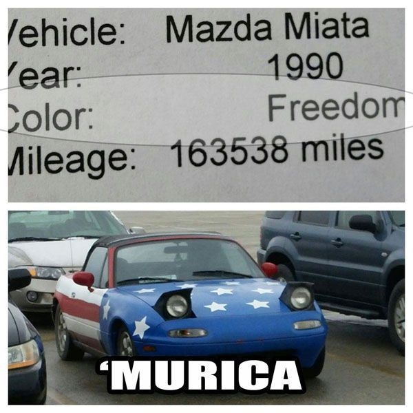 Bildschirmarbeiter - Picdump 13.02.2015