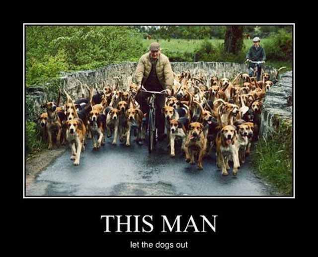 Bildschirmarbeiter - Picdump 13.02.2015