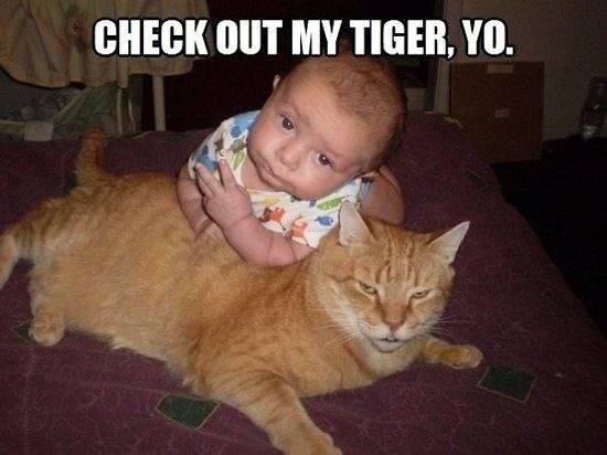 Bildschirmarbeiter - Picdump 13.02.2015