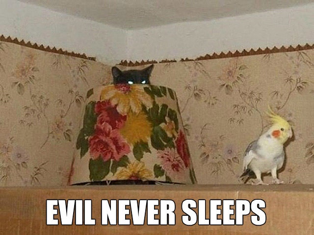 Bildschirmarbeiter - Picdump 13.02.2015