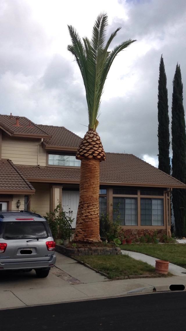 Bildschirmarbeiter - Picdump 13.02.2015