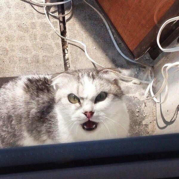 Bildschirmarbeiter - Picdump 13.02.2015