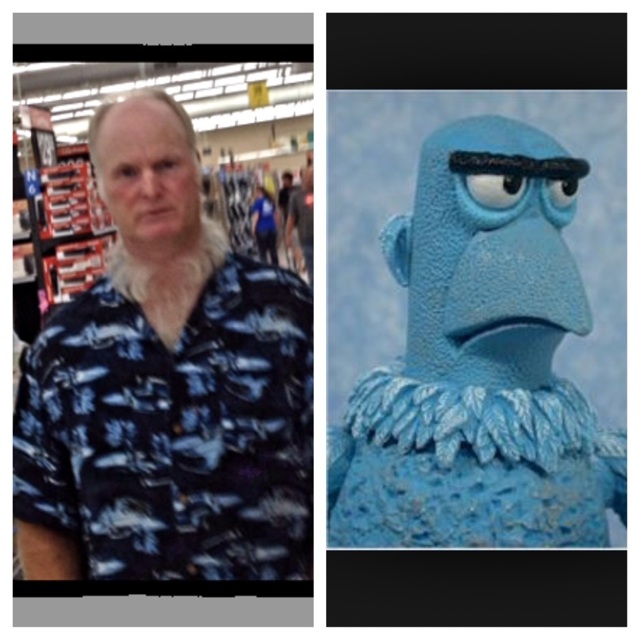 Bildschirmarbeiter - Picdump 13.02.2015