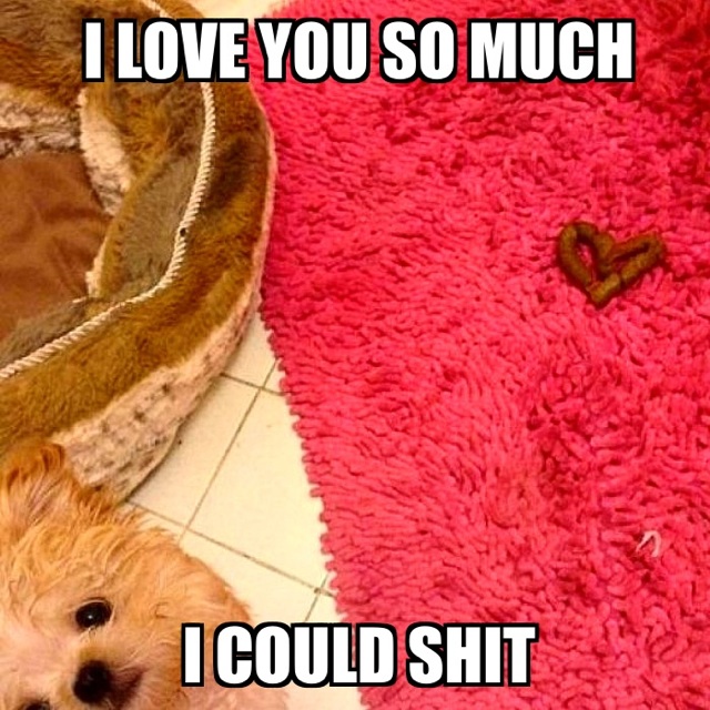 Bildschirmarbeiter - Picdump 13.02.2015